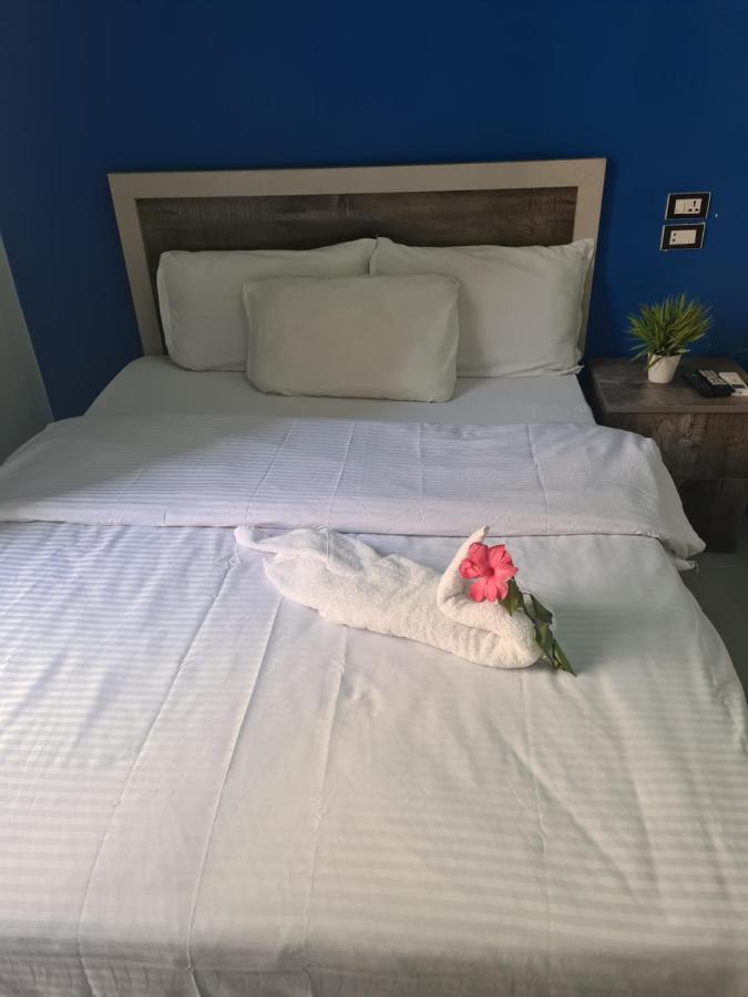 קהיר The Australian Hostel מראה חיצוני תמונה
